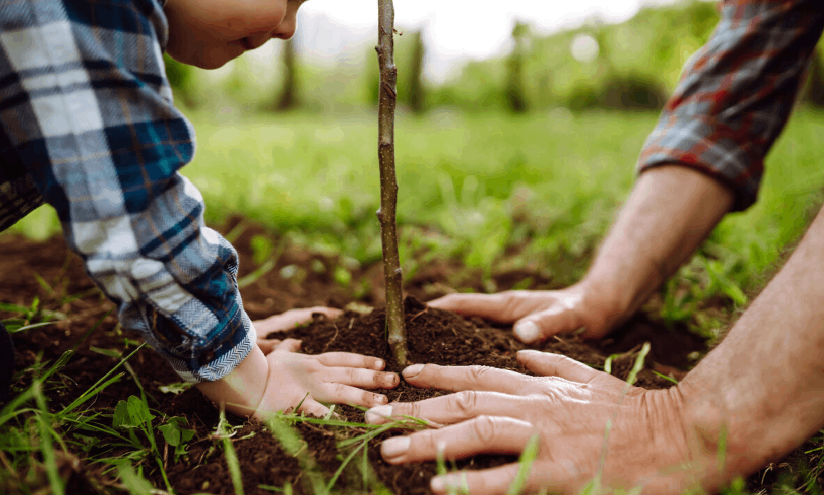 AdobeStock_415588566-1200×800-1